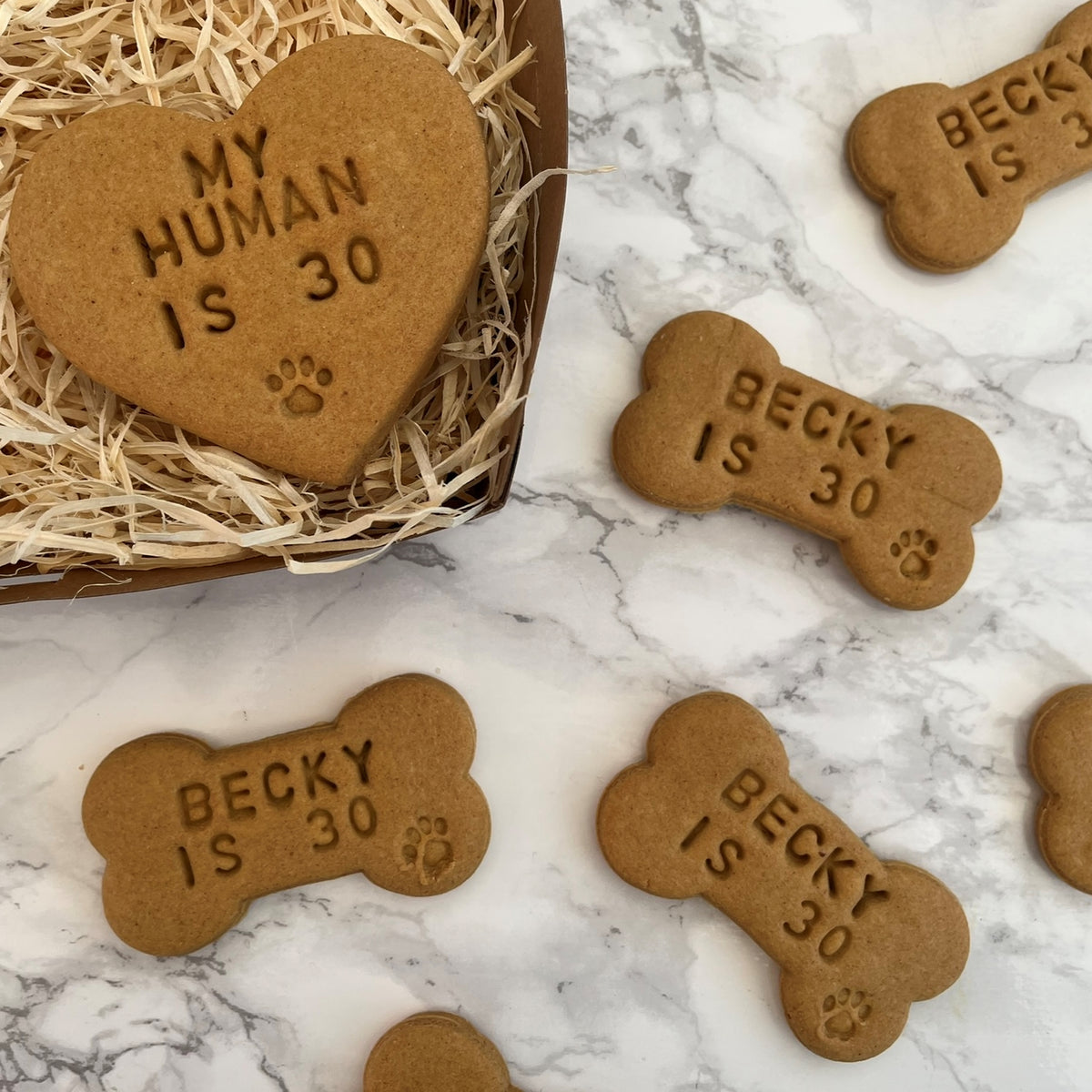 Bone shaped 2024 biscuits for humans