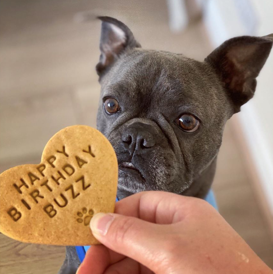 Happy birthday 2024 dog biscuit