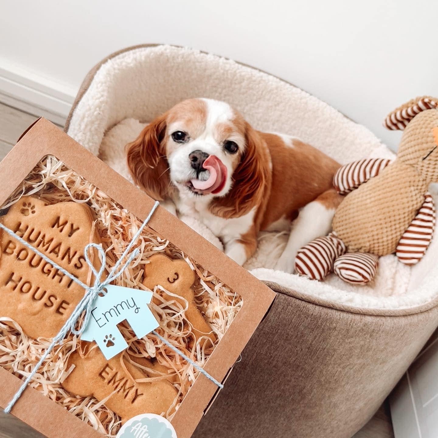 My Humans Bought a House Personalised Dog Biscuits Gift Set Afternoon Paws