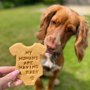 Dog biscuits clearance for humans